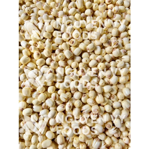 Hạt sen đông lạnh - Frozen Lotus Seeds